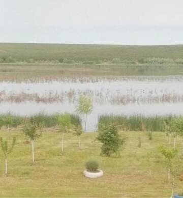 Фотографии Кемпинги Cabana de vacanta si loc camping, Lac Murani г. Тимишоара (Румыния) №1 Фото Кемпинги Cabana de vacanta si loc camping, Lac Murani г. Тимишоара 1