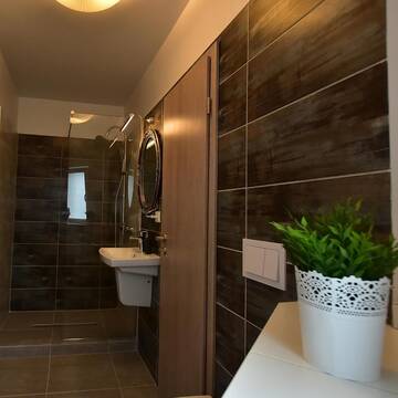 Фото номера Номер Делюкс Отели типа «постель и завтрак» GreenWood Residence г. Тимишоара 13