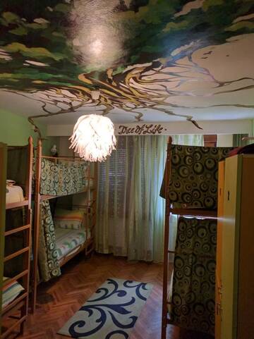 Фото Хостелы Freeborn Hostel г. Тимишоара 4