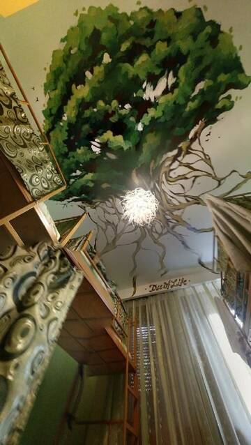 Фото Хостелы Freeborn Hostel г. Тимишоара 5