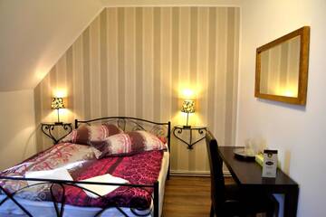 Фото Гостевой дом Pension Casa Leone г. Тимишоара 1