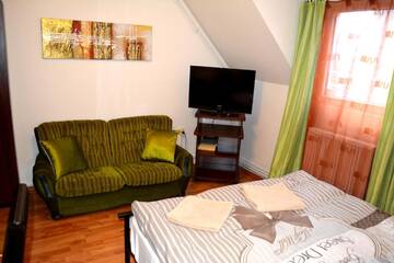 Фото номера Двухместный номер с 1 кроватью Гостевой дом Pension Casa Leone г. Тимишоара 5