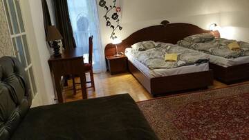 Фото Гостевой дом Pension Casa Leone г. Тимишоара 3