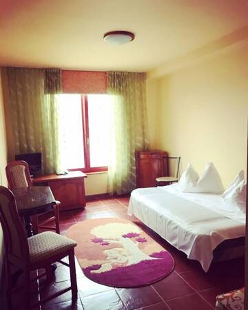 Фото Отель Hotel Francesca г. Тимишоара 4