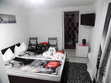 Фото номера Двухместный номер эконом-класса с 1 кроватью Гостевой дом Pensiunea Red Rose Apartments г. Тимишоара 5