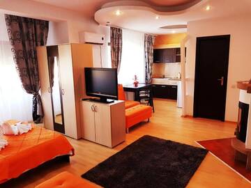 Фото номера Апартаменты-студио (для 2 взрослых) Гостевой дом Pensiunea Red Rose Apartments г. Тимишоара 18