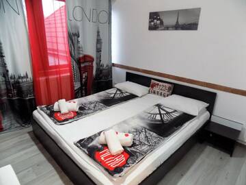 Фото номера Двухместный номер эконом-класса с 1 кроватью Гостевой дом Pensiunea Red Rose Apartments г. Тимишоара 7