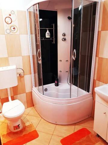 Фото номера Апартаменты-студио (для 2 взрослых) Гостевой дом Pensiunea Red Rose Apartments г. Тимишоара 20