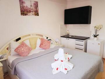 Фото номера Апартаменты-студио (для 2 взрослых) Гостевой дом Pensiunea Red Rose Apartments г. Тимишоара 25