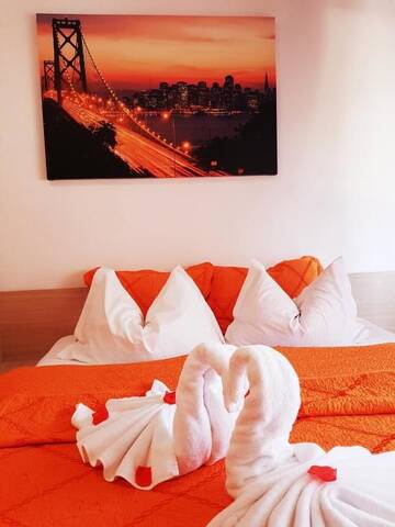 Фото номера Апартаменты-студио (для 2 взрослых) Гостевой дом Pensiunea Red Rose Apartments г. Тимишоара 26