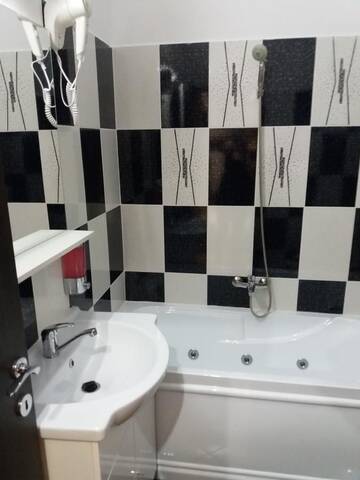 Фото номера Номер-студио с джакузи Гостевой дом Pensiunea Red Rose Apartments г. Тимишоара 6