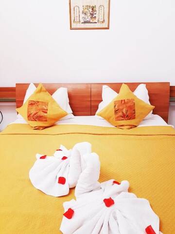 Фото номера Апартаменты-студио (для 2 взрослых) Гостевой дом Pensiunea Red Rose Apartments г. Тимишоара 30