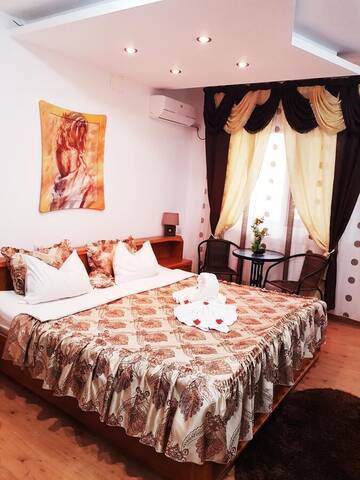 Фото номера Номер-студио с джакузи Гостевой дом Pensiunea Red Rose Apartments г. Тимишоара 3