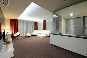 Фото номера Люкс с 1 спальней Отель Hotel Galaxy г. Тимишоара 4