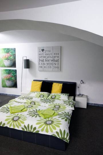 Фото номера Люкс Гостевой дом Design Loft г. Тимишоара 4