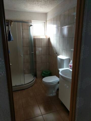 Фото номера Двухместный номер с 2 отдельными кроватями и ванной комнатой Гостевой дом Pensiunea Vladut Timisoara г. Тимишоара 5