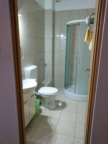 Фото Гостевой дом Pensiunea Vladut Timisoara г. Тимишоара 3