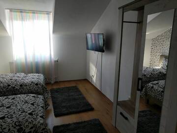 Фото номера Трехместный номер с собственной ванной комнатой Гостевой дом Pensiunea Vladut Timisoara г. Тимишоара 3