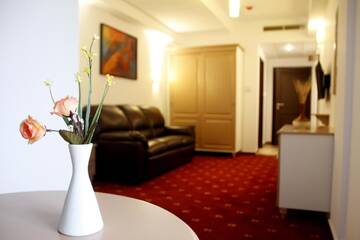 Фото номера Люкс с 1 спальней Отель Hotel Exclusiv г. Тимишоара 4