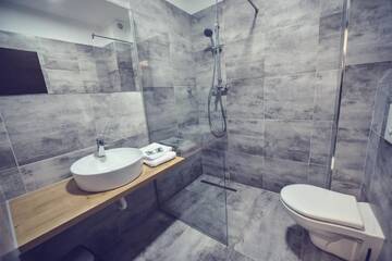 Фото номера Двухместный номер с 1 кроватью или 2 отдельными кроватями и собственной ванной комнатой Гостевой дом Villa Rosa г. Тимишоара 6