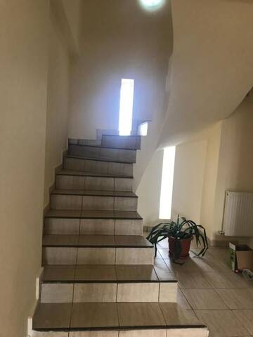 Фото номера Стандартная вилла Виллы Casa Vio г. Тимишоара 43