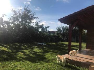 Фото номера Стандартная вилла Виллы Casa Vio г. Тимишоара 52