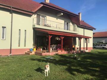 Фото Виллы Casa Vio г. Тимишоара 2