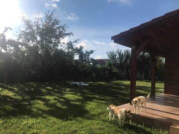 Фото номера Стандартная вилла Виллы Casa Vio г. Тимишоара 9