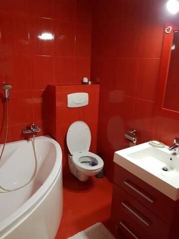 Фото Виллы Casa Fogas г. Тимишоара 4