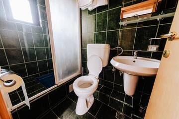 Фото номера Двухместный номер Делюкс с 1 кроватью Отель Pensiunea Alex г. Тимишоара 5