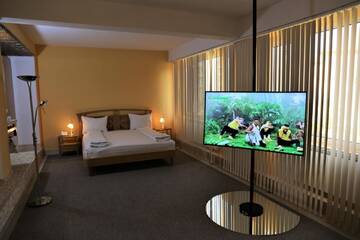 Фото номера Люкс с гидромассажной ванной Отель Hotel Central г. Тимишоара 7
