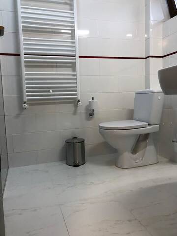 Фото номера Двухместный номер Делюкс с 1 кроватью Отель Hotel Larissa г. Тимишоара 6