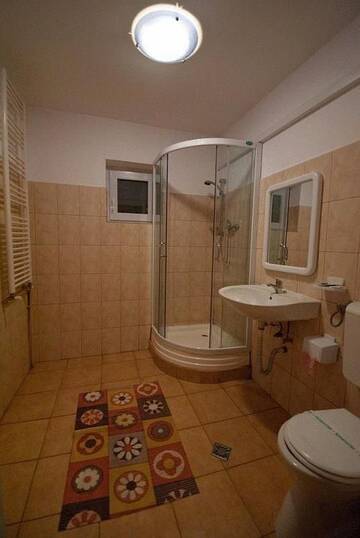 Фото Гостевой дом Pensiunea Next г. Тимишоара 5
