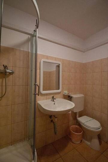 Фото номера Двухместный номер с 1 кроватью Гостевой дом Pensiunea Next г. Тимишоара 5
