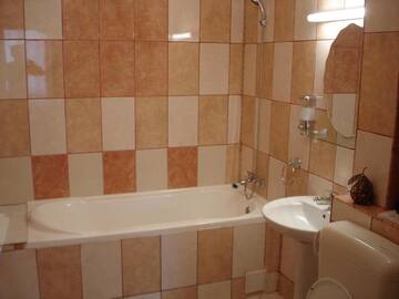 Фото номера Полулюкс Отель Hotel Strelitia г. Тимишоара 2