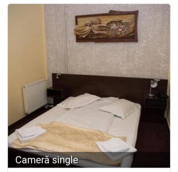 Фото Отель Hotel Strelitia г. Тимишоара 3