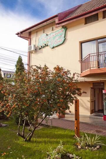 Фото Гостевой дом Pensiunea Vlad Home г. Тимишоара 4