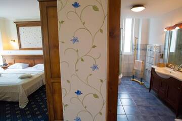 Фото номера Люкс Отель Hotel Casa De La Rosa г. Тимишоара 5