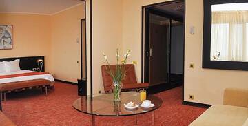 Фото номера Полулюкс Отель Hotel Continental г. Тимишоара 3