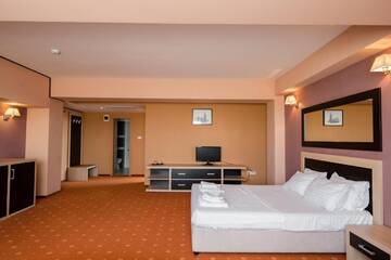 Фото номера Представительский люкс с террасой Отель Hotel Oxford Inns&amp;Suites г. Тимишоара 4
