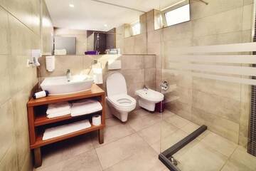 Фото номера Двухместный номер с 1 кроватью Отель Hotel President г. Тимишоара 18