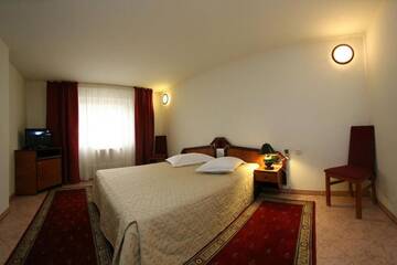 Фото номера Двухместный номер с 1 кроватью Отель Euro Hotel г. Тимишоара 12