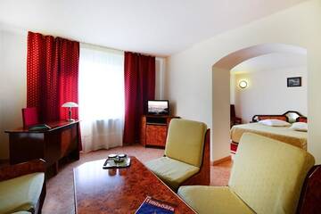 Фото номера Люкс Отель Euro Hotel г. Тимишоара 4