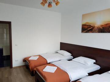 Фото Гостевой дом Pension Yasmine г. Тимишоара 3
