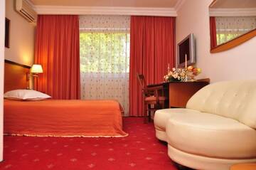 Фото номера Одноместный номер Отель Hotel Royal Plaza г. Тимишоара 4