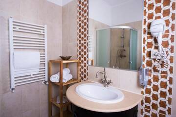 Фото номера Полулюкс Гостевой дом Boutique Pension Park г. Тимишоара 13