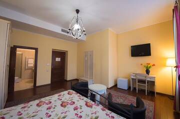 Фото номера Полулюкс Гостевой дом Boutique Pension Park г. Тимишоара 15