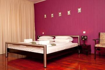 Фото Гостевой дом Pension Dinu Residence г. Тимишоара 5
